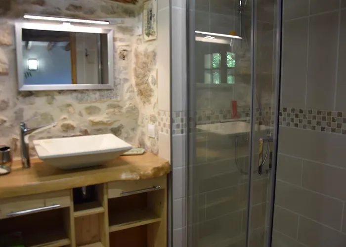 Les Libellules Saint-Salvy-de-la-Balme